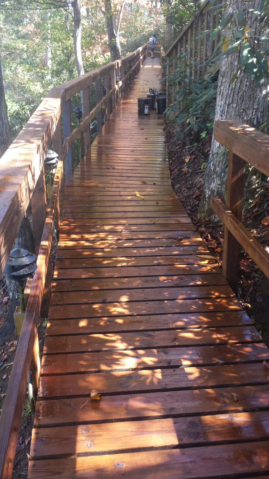 Freshly stained wood walkway winding through the woods in Oronoco