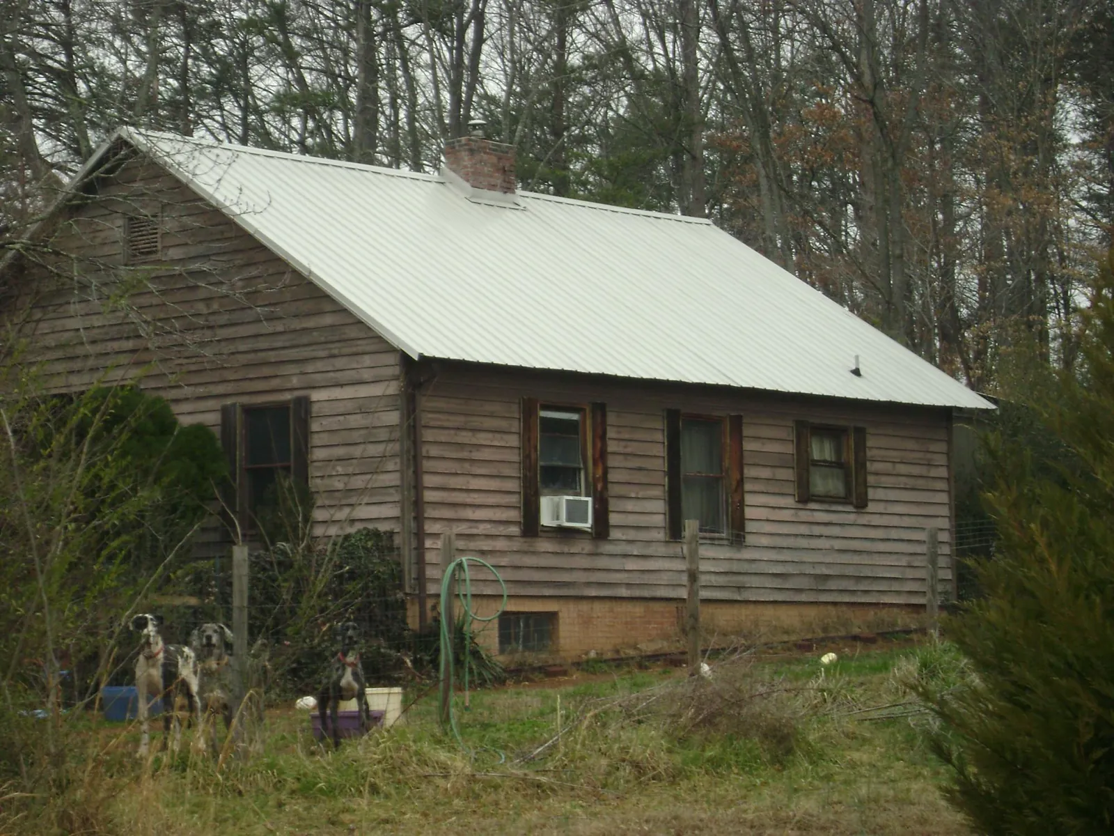 White metal roof on an old wood sided farmhouse, from a Asphalt Shingle Roof Repair job in Oronoco